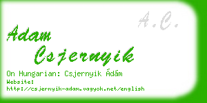 adam csjernyik business card