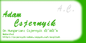 adam csjernyik business card